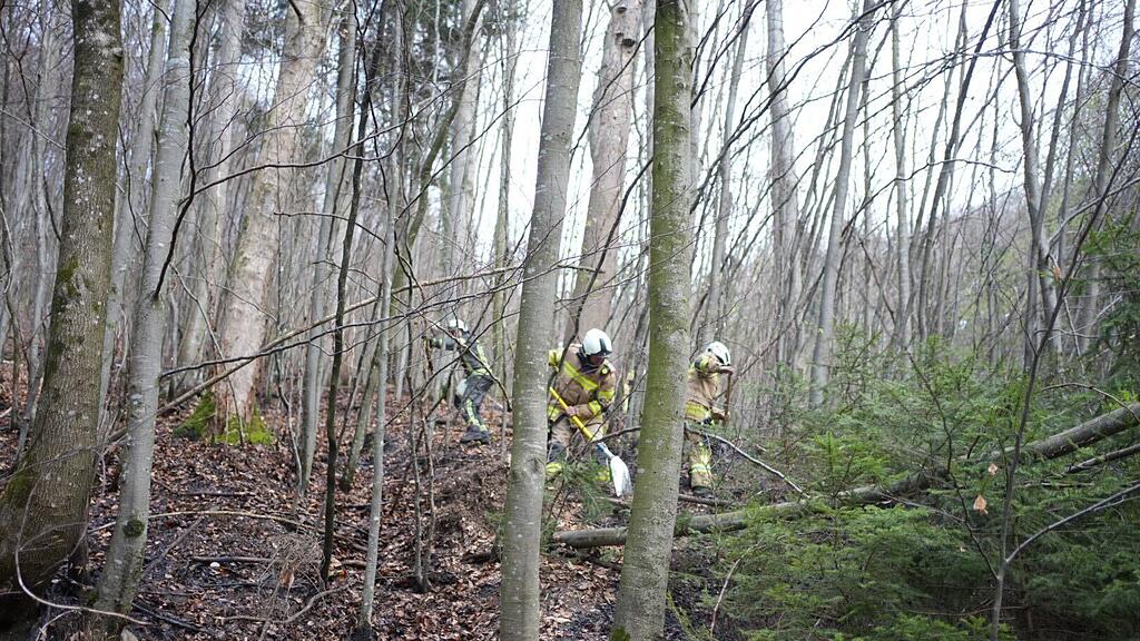 Flurbrand in Hallwang-Mayrwies