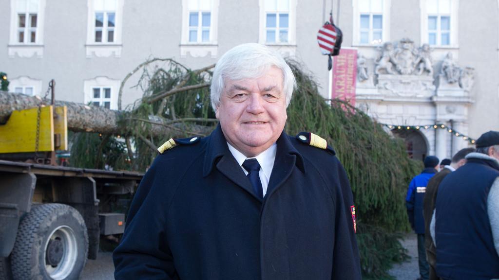 Neuer Baum steht