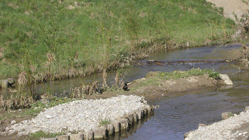 Salzburgs beste Badeplätze