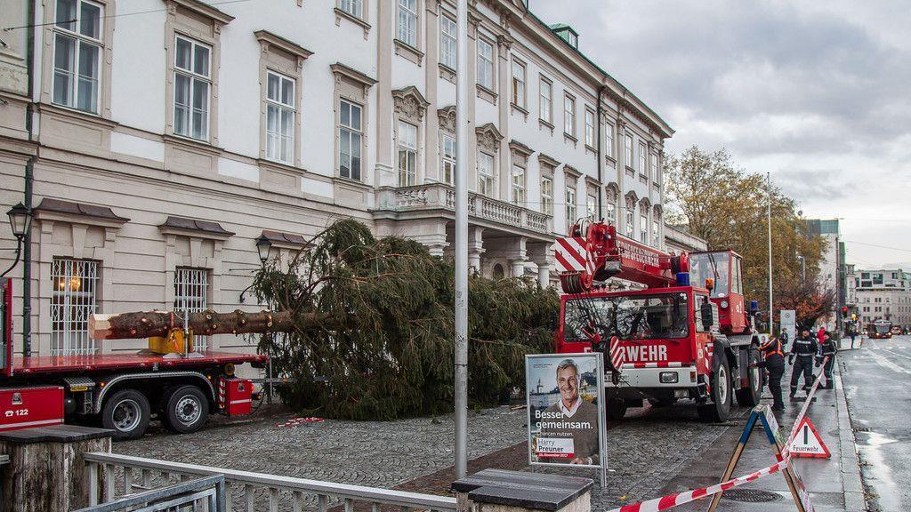 Christbaumaufstellen vor dem Schloss Mirabell