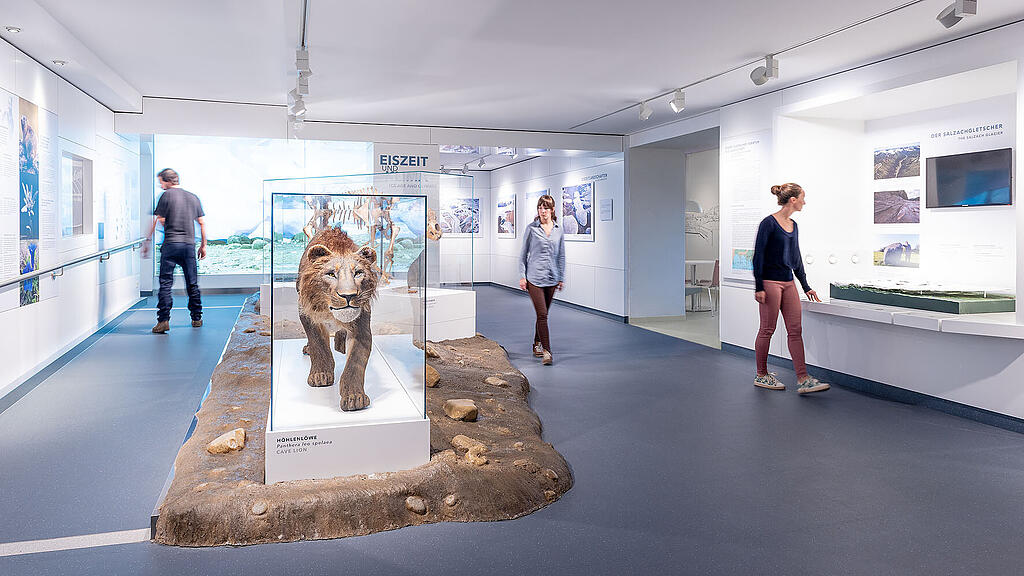 Haus der Natur