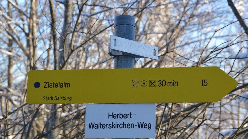Winterspaziergang am Gaisberg