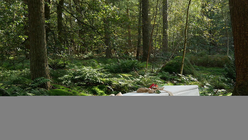 "Lebender Sarg" auf Wiener Zentralfriedhof