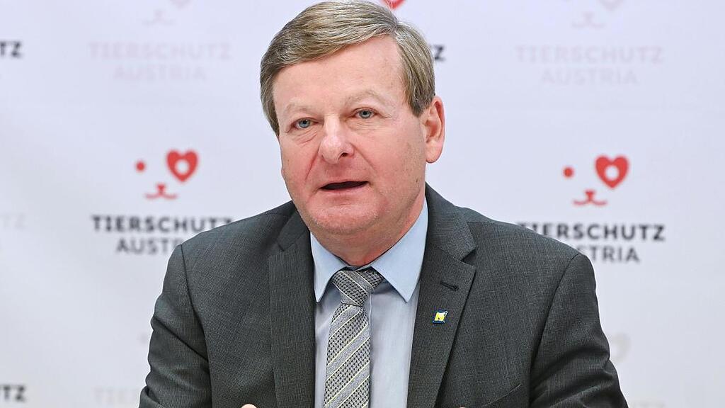 Waldhäusls TV-Auftritt sorgt für Kritik
