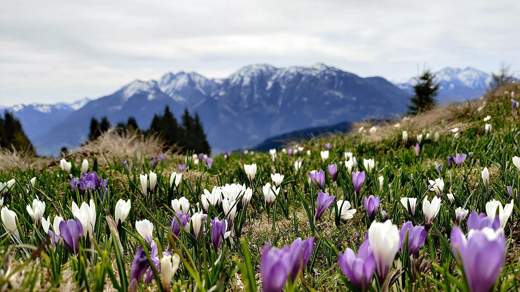 Wanderbilder_Stefanie_Ruep