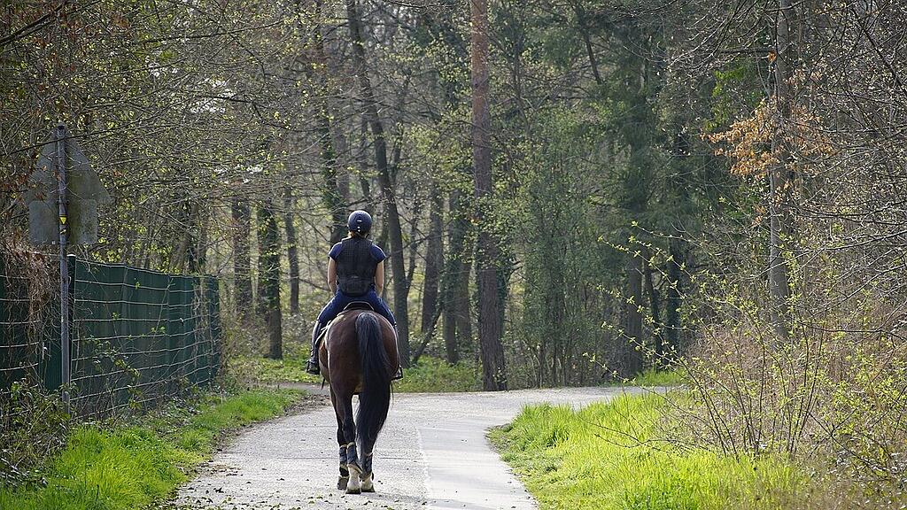 symb_reiten