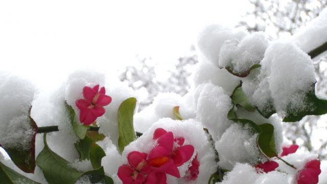 So schön kann der Winter sein