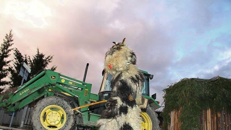 Nikolo und Krampus in Piding