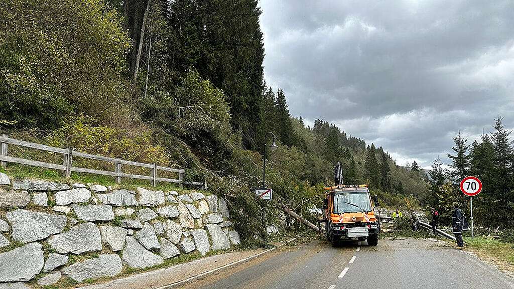 Straße am Gerlospass von Bäumen verlegt
