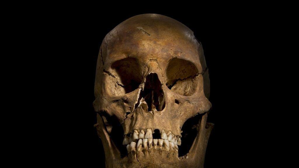 Forscher rekonstruieren Gesicht Richard III.