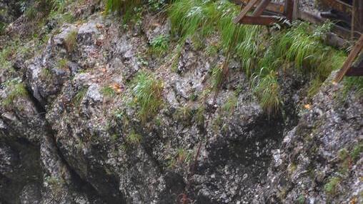 Großübung in der Lammerklamm