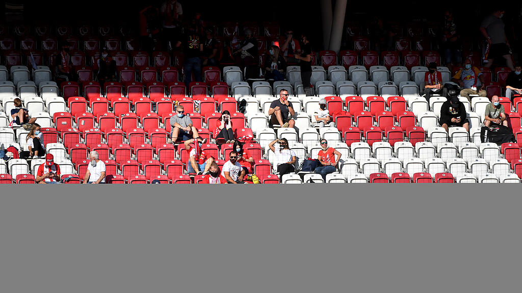 FUSSBALL TIPICO BUNDESLIGA  GRUNDDURCHGANG FC RED BULL SALZBURG - CASHPOINT SCR ALTACH =(2).jpg