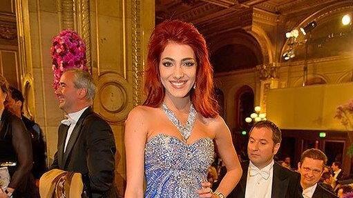 Opernball 2013: Promis in der Oper (Andreas Tischler)