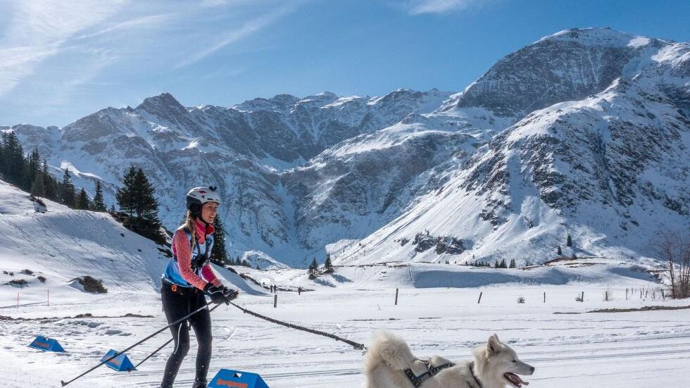 Schlittenhunderennen in Sportgastein