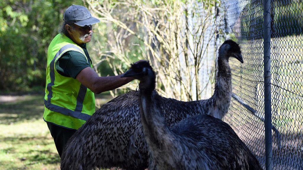 Häftlinge kümmern sich um Tiere