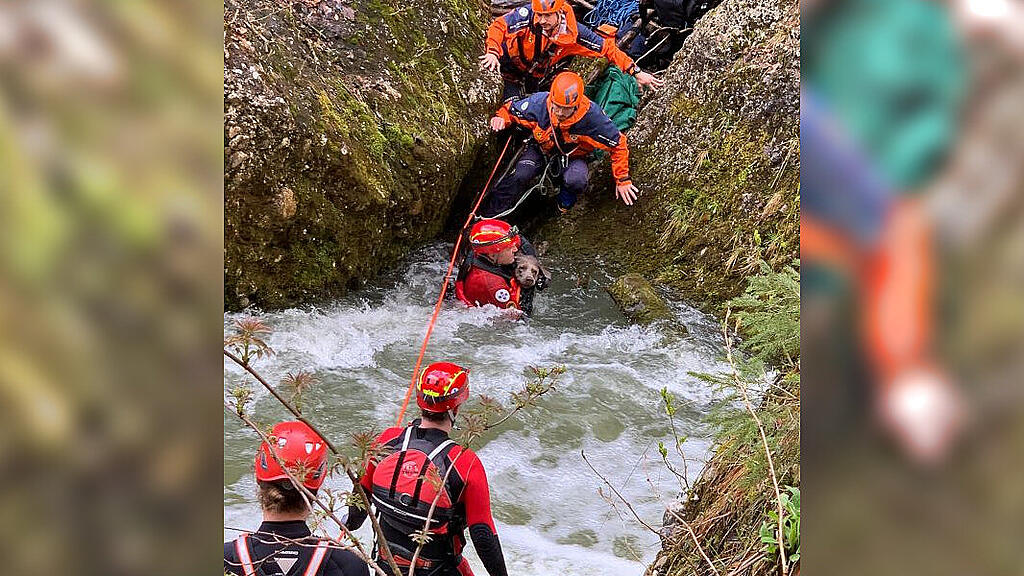 Rettung Hund und Frau Glasenbachklamm