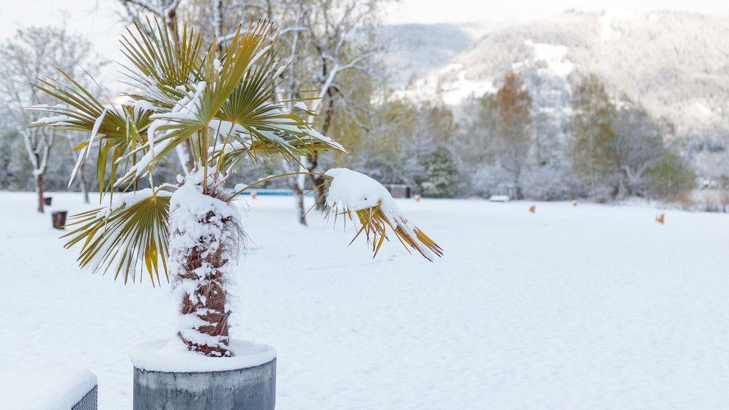 Winterliche Bilder aus Zell am See