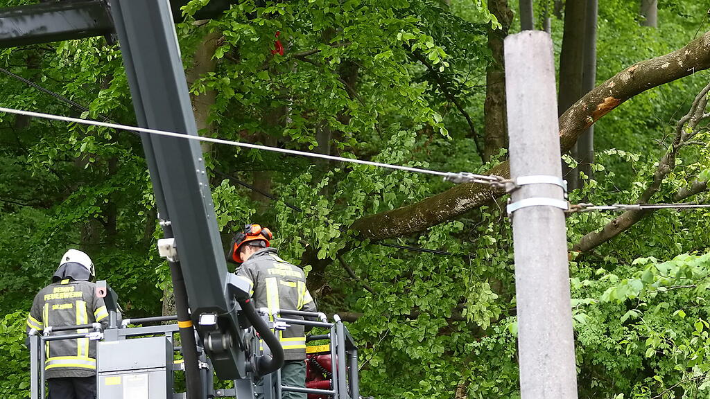 Baum fällt auf Stromleitung