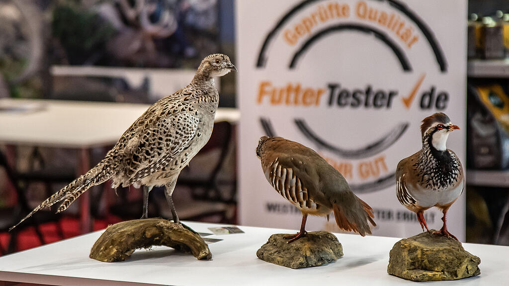 Hohe Jagd und Fischerei