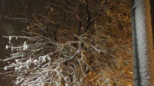 Erster Schnee in Salzburg