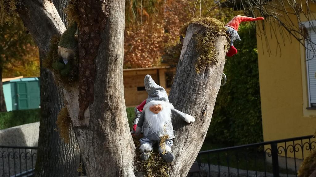 Hellbrunner Adventzauber: Aufbau