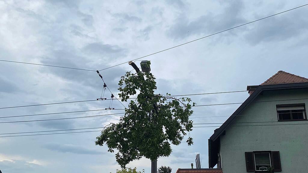 Unwetter in Salzburg-Stadt: Baum stürzt auf Obus-Leitung
