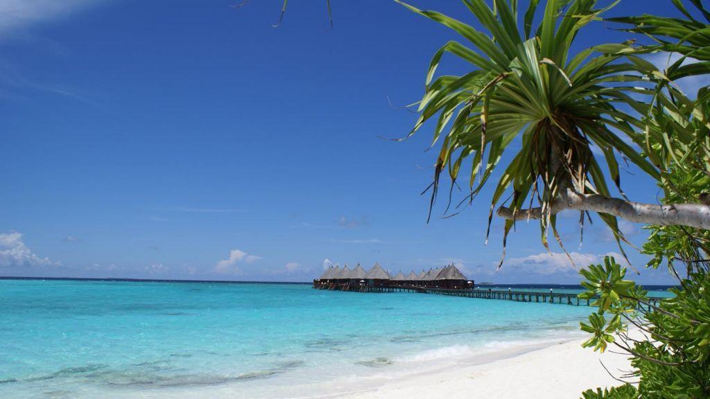 Promistrände: Urlauben wie der Jet-Set!