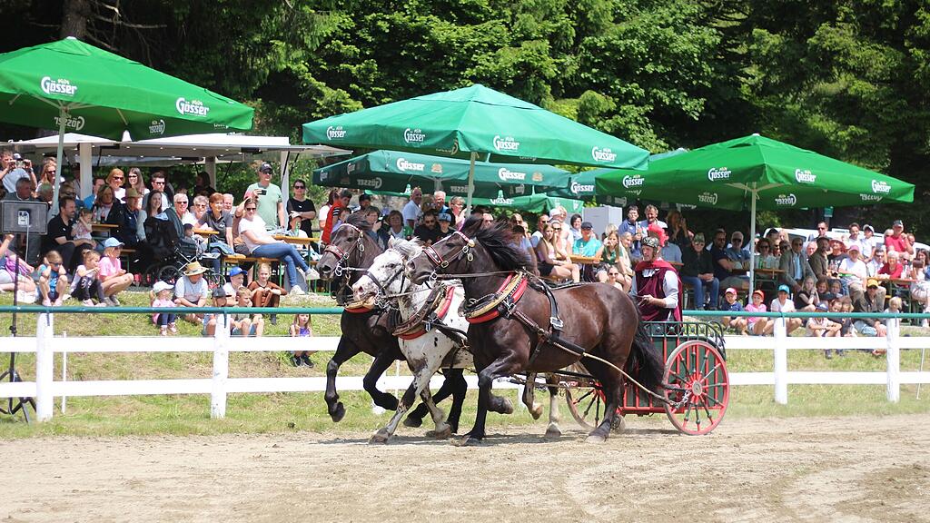 Pfingst-Reiterfest bei Schloss Moosham in Unternberg
