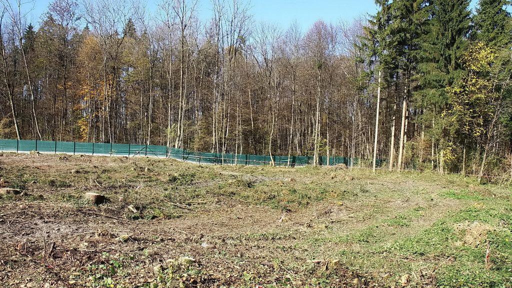 MACO: Erweiterungsareal gerodet