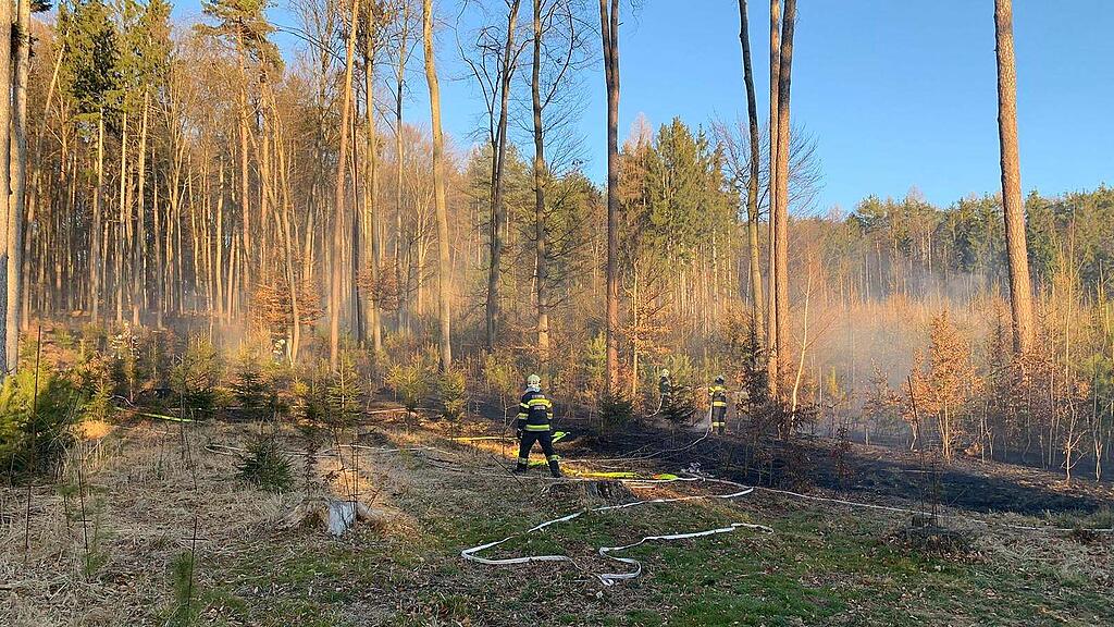 Waldbrand_Krottendorf