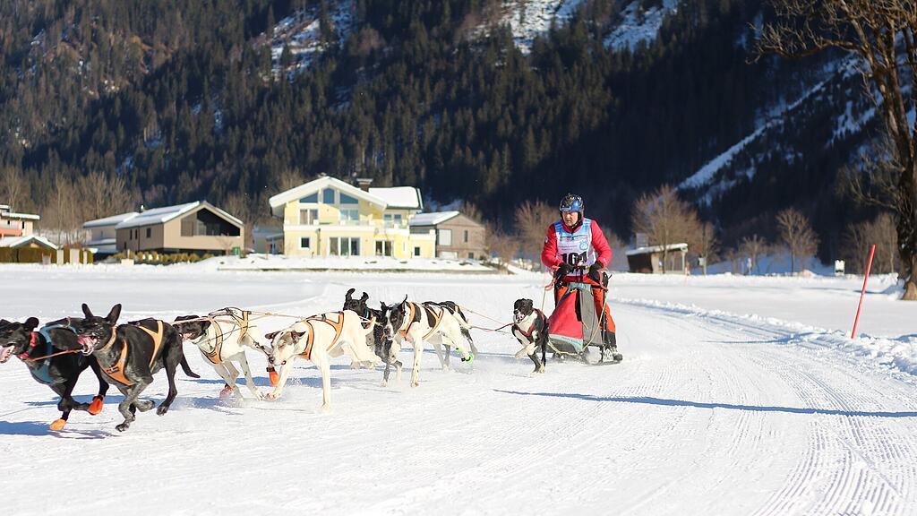26. Schlittenhunderennen