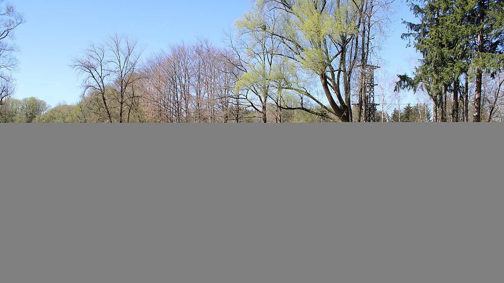 IMG_7010.JPG