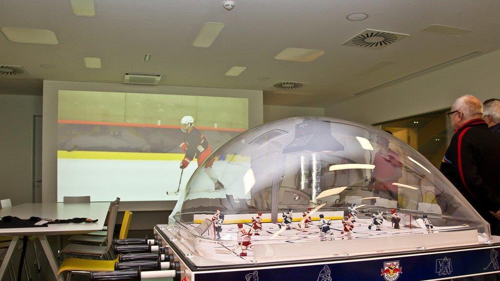 Red Bull Akademie in Liefering