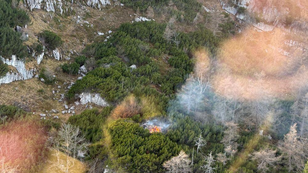 Waldbrand in Golling