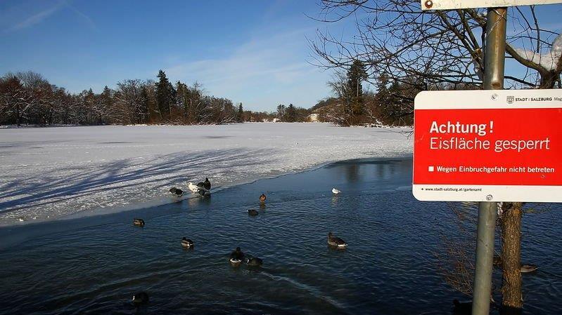 Eisfläche am Lepi-Weiher