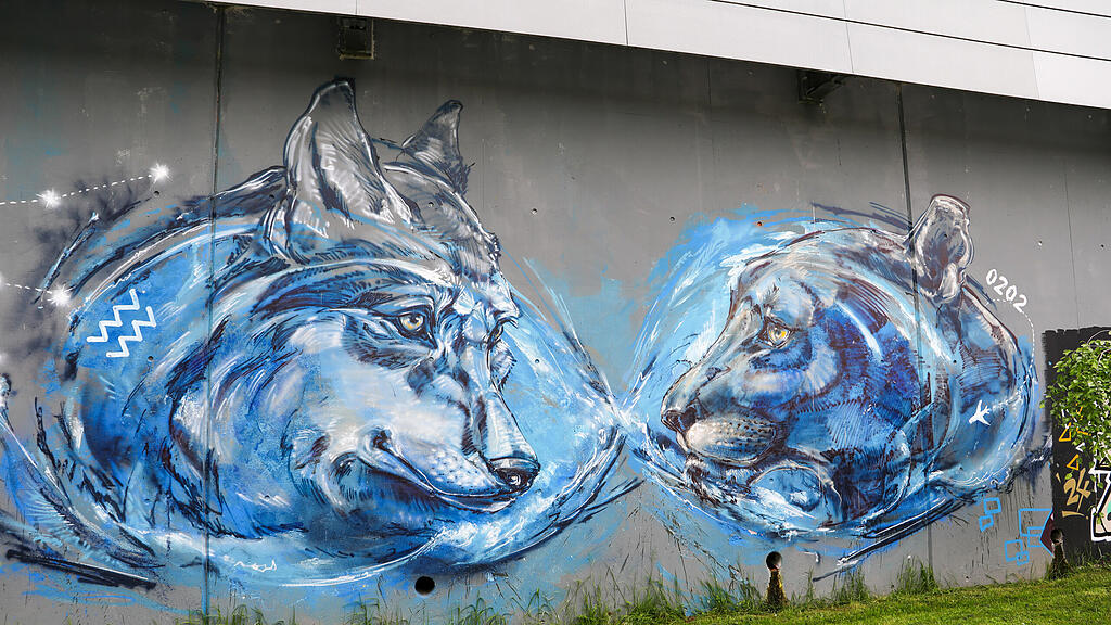 Graffiti in der Stadt Salzburg