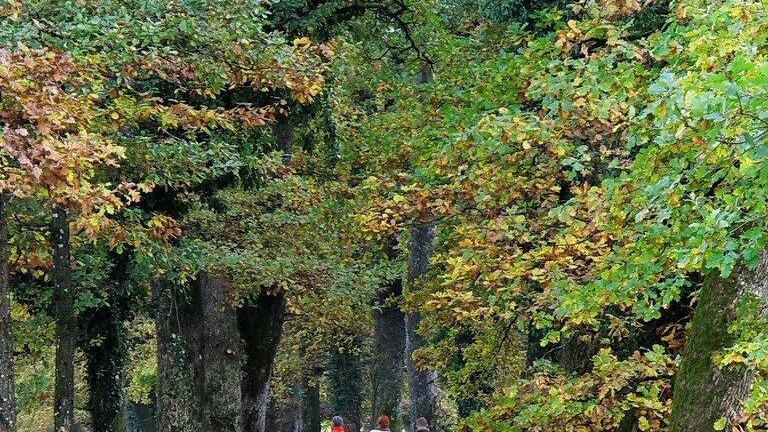 Herbstbilder aus Hellbrunn