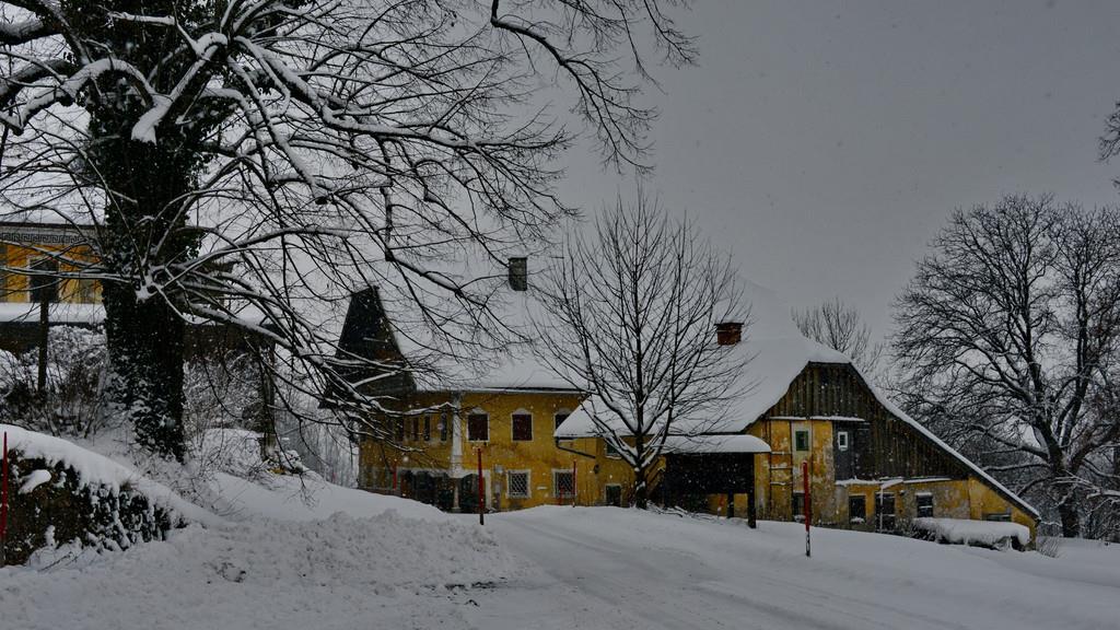 Wintereinbruch am Gaisberg