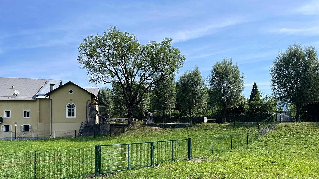 Ziegengehege Almkanal