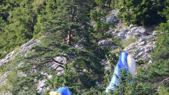Paragleiter bleibt in Baum hängen
