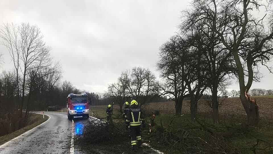 Sturm Niederösterreich