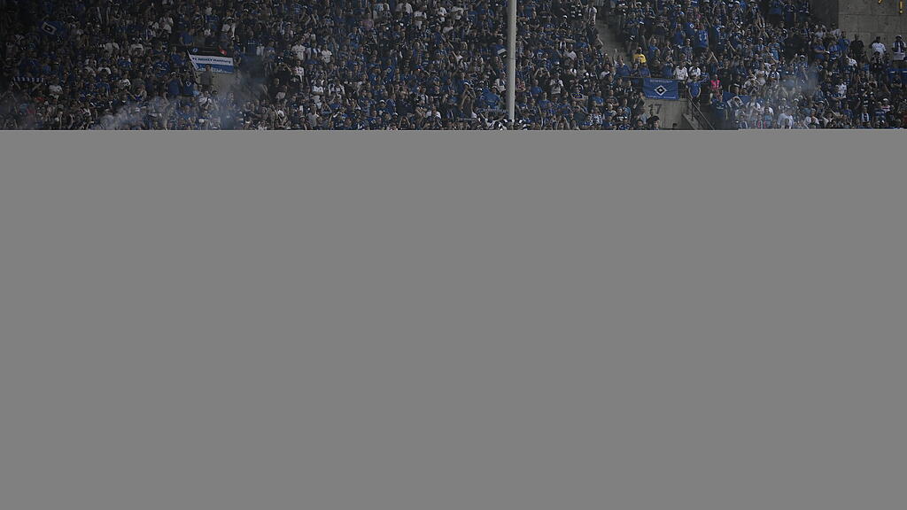 HSV, Fans