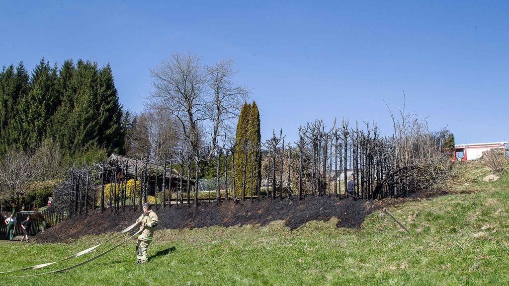 Heckenbrand in Henndorf
