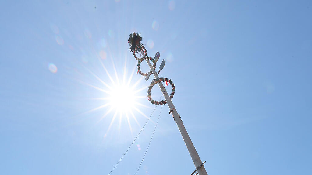 Stiegl Maibaum-Fest