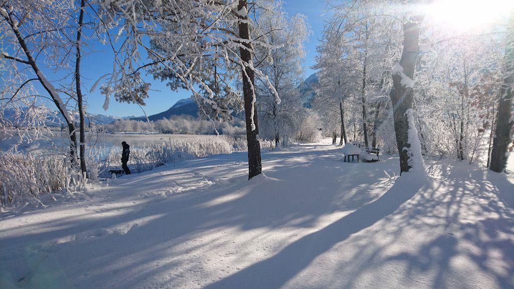Eure schönsten Winterbilder II