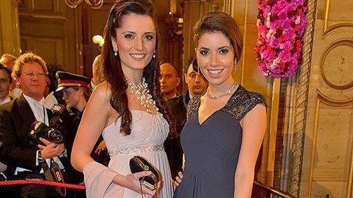Opernball 2013: Promis in der Oper (Andreas Tischler)