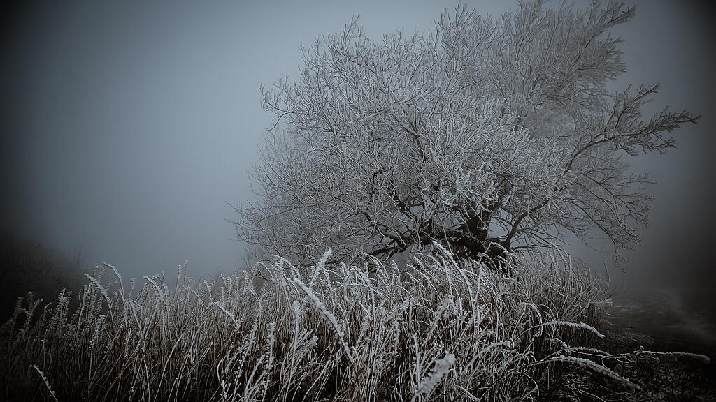 Schnee am Gaisberg