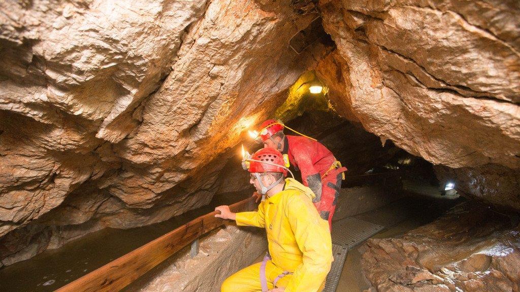 Bergung aus Lamprechtshöhle