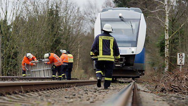 Umgestürzte Bäume stoppen den Zugverkehr