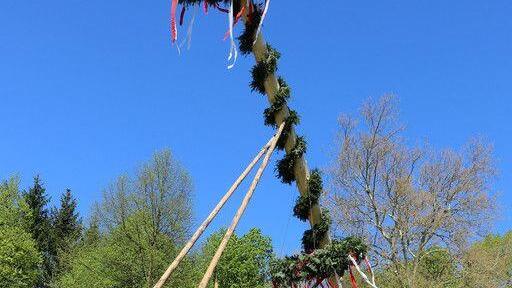 Maibaumaufstellen in Aigen